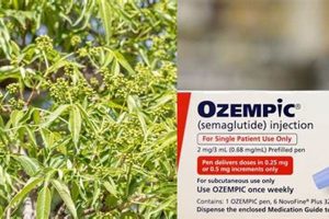 Natural Herbal Ozempic: Safe Herbal Alternatives? Safem Fabrication - Precision Engineering & Custom Manufacturing Solutions Natural Herbal Ozempic: Safe Herbal Alternatives? | Safem Fabrication - Precision Engineering & Custom Manufacturing Solutions