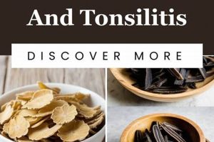 Natural Herbal for Tonsillitis Relief: Safe Remedies Safem Fabrication - Precision Engineering & Custom Manufacturing Solutions Natural Herbal for Tonsillitis Relief: Safe Remedies | Safem Fabrication - Precision Engineering & Custom Manufacturing Solutions