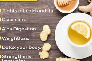 Unlock Lemon Ginger Herbal Tea Benefits + More! Safem Fabrication - Precision Engineering & Custom Manufacturing Solutions Unlock Lemon Ginger Herbal Tea Benefits + More! | Safem Fabrication - Precision Engineering & Custom Manufacturing Solutions