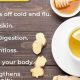 Unlock Lemon Ginger Herbal Tea Benefits + More! | The Ultimate Herbal Remedies Guide: Natural Healing for a Healthier Life