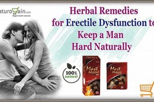 Top Herbs: Best Herbal ED Fixes [Updated!] | The Ultimate Herbal Remedies Guide: Natural Healing for a Healthier Life