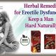 Top Herbs: Best Herbal ED Fixes [Updated!] | The Ultimate Herbal Remedies Guide: Natural Healing for a Healthier Life