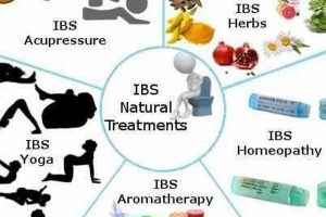 Natural IBS Herbal Treatment: Relief + Remedies Safem Fabrication - Precision Engineering & Custom Manufacturing Solutions Natural IBS Herbal Treatment: Relief + Remedies | Safem Fabrication - Precision Engineering & Custom Manufacturing Solutions