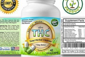 Fast Ultra THC Total Herbal Cleanse: Detox & Purity Safem Fabrication - Precision Engineering & Custom Manufacturing Solutions Fast Ultra THC Total Herbal Cleanse: Detox & Purity | Safem Fabrication - Precision Engineering & Custom Manufacturing Solutions