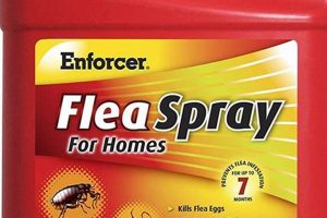 Natural Herbal Flea Killer: Safe & Effective Flea Control Safem Fabrication - Precision Engineering & Custom Manufacturing Solutions Natural Herbal Flea Killer: Safe & Effective Flea Control | Safem Fabrication - Precision Engineering & Custom Manufacturing Solutions