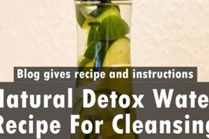 Cleanse With Herbal Detox Water: Recipes & Benefits Safem Fabrication - Precision Engineering & Custom Manufacturing Solutions Cleanse With Herbal Detox Water: Recipes & Benefits | Safem Fabrication - Precision Engineering & Custom Manufacturing Solutions