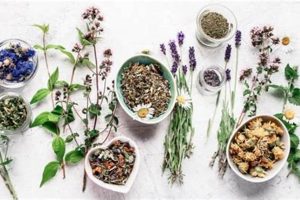 Herbal Cleanse: How Long Does A Detox Last for You? Safem Fabrication - Precision Engineering & Custom Manufacturing Solutions Herbal Cleanse: How Long Does A Detox Last for You? | Safem Fabrication - Precision Engineering & Custom Manufacturing Solutions