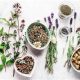 Herbal Cleanse: How Long Does A Detox Last for You? | The Ultimate Herbal Remedies Guide: Natural Healing for a Healthier Life