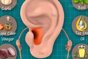 Soothing Herbal Remedy for Ear Infection Relief Now Safem Fabrication - Precision Engineering & Custom Manufacturing Solutions Soothing Herbal Remedy for Ear Infection Relief Now | Safem Fabrication - Precision Engineering & Custom Manufacturing Solutions