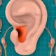 Soothing Herbal Remedy for Ear Infection Relief Now | The Ultimate Herbal Remedies Guide: Natural Healing for a Healthier Life