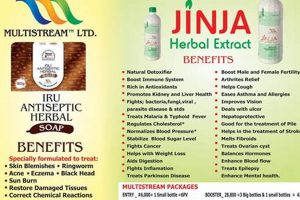 Unlocking the Benefits: Jinja Herbal Extracts' Powerhouse Safem Fabrication - Precision Engineering & Custom Manufacturing Solutions Unlocking the Benefits: Jinja Herbal Extracts' Powerhouse | Safem Fabrication - Precision Engineering & Custom Manufacturing Solutions