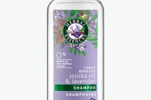 Best Herbal Essences Lavender Shampoo: Benefits & Review Safem Fabrication - Precision Engineering & Custom Manufacturing Solutions Best Herbal Essences Lavender Shampoo: Benefits & Review | Safem Fabrication - Precision Engineering & Custom Manufacturing Solutions