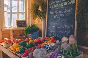 Find Local Herbal Stores in Phoenix, AZ - Shop Now! Safem Fabrication - Precision Engineering & Custom Manufacturing Solutions Find Local Herbal Stores in Phoenix, AZ - Shop Now! | Safem Fabrication - Precision Engineering & Custom Manufacturing Solutions