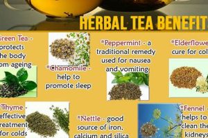 Daily Sip: Benefits of Drinking Herbal Tea Everyday, Unveiled Safem Fabrication - Precision Engineering & Custom Manufacturing Solutions Daily Sip: Benefits of Drinking Herbal Tea Everyday, Unveiled | Safem Fabrication - Precision Engineering & Custom Manufacturing Solutions