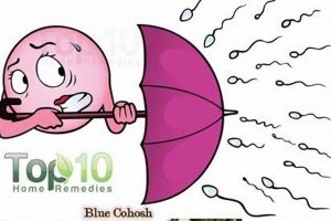 Natural Herbal Birth Control: Options & Risks Safem Fabrication - Precision Engineering & Custom Manufacturing Solutions Natural Herbal Birth Control: Options & Risks | Safem Fabrication - Precision Engineering & Custom Manufacturing Solutions