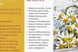 Unveiling Chamomile Herbal Benefits: Uses + More Safem Fabrication - Precision Engineering & Custom Manufacturing Solutions Unveiling Chamomile Herbal Benefits: Uses + More | Safem Fabrication - Precision Engineering & Custom Manufacturing Solutions