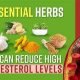Best Herbal Supplements for Lowering Cholesterol Naturally | The Ultimate Herbal Remedies Guide: Natural Healing for a Healthier Life