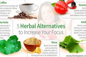 Best Herbal Alternative Remedies: Natural Options Safem Fabrication - Precision Engineering & Custom Manufacturing Solutions Best Herbal Alternative Remedies: Natural Options | Safem Fabrication - Precision Engineering & Custom Manufacturing Solutions