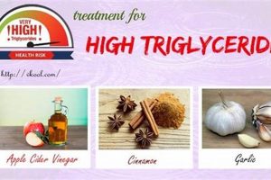 Natural Herbal Treatment for High Triglycerides + Tips Safem Fabrication - Precision Engineering & Custom Manufacturing Solutions Natural Herbal Treatment for High Triglycerides + Tips | Safem Fabrication - Precision Engineering & Custom Manufacturing Solutions