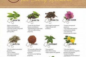 Unlock Healing: Herbal Medicinal Tea Secrets Safem Fabrication - Precision Engineering & Custom Manufacturing Solutions Unlock Healing: Herbal Medicinal Tea Secrets | Safem Fabrication - Precision Engineering & Custom Manufacturing Solutions