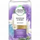 Buy Herbal Essence Rosemary Shampoo - Boost Hair Growth! | The Ultimate Herbal Remedies Guide: Natural Healing for a Healthier Life