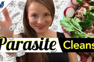Natural Herbal Parasite Cleanse: Detox & Support Safem Fabrication - Precision Engineering & Custom Manufacturing Solutions Natural Herbal Parasite Cleanse: Detox & Support | Safem Fabrication - Precision Engineering & Custom Manufacturing Solutions