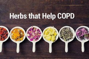 Natural Herbal Remedies for COPD Relief: A Guide Safem Fabrication - Precision Engineering & Custom Manufacturing Solutions Natural Herbal Remedies for COPD Relief: A Guide | Safem Fabrication - Precision Engineering & Custom Manufacturing Solutions