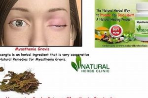 Natural Myasthenia Gravis Herbal Treatment: Relief + Support Safem Fabrication - Precision Engineering & Custom Manufacturing Solutions Natural Myasthenia Gravis Herbal Treatment: Relief + Support | Safem Fabrication - Precision Engineering & Custom Manufacturing Solutions