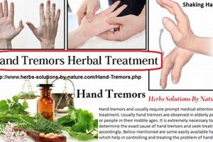 Natural Herbal Remedies for Tremors: Relief Guide Safem Fabrication - Precision Engineering & Custom Manufacturing Solutions Natural Herbal Remedies for Tremors: Relief Guide | Safem Fabrication - Precision Engineering & Custom Manufacturing Solutions