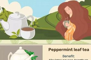 Pregnancy & Tea: Is Herbal Tea Safe to Drink During Pregnancy? Safem Fabrication - Precision Engineering & Custom Manufacturing Solutions Pregnancy & Tea: Is Herbal Tea Safe to Drink During Pregnancy? | Safem Fabrication - Precision Engineering & Custom Manufacturing Solutions