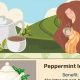 Pregnancy & Tea: Is Herbal Tea Safe to Drink During Pregnancy? | The Ultimate Herbal Remedies Guide: Natural Healing for a Healthier Life