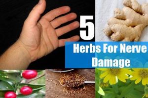 Natural Herbal Remedies for Nerve Damage Relief Safem Fabrication - Precision Engineering & Custom Manufacturing Solutions Natural Herbal Remedies for Nerve Damage Relief | Safem Fabrication - Precision Engineering & Custom Manufacturing Solutions
