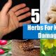 Natural Herbal Remedies for Nerve Damage Relief | The Ultimate Herbal Remedies Guide: Natural Healing for a Healthier Life