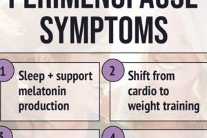 Natural Perimenopause Herbal Treatment: Relief & Support Safem Fabrication - Precision Engineering & Custom Manufacturing Solutions Natural Perimenopause Herbal Treatment: Relief & Support | Safem Fabrication - Precision Engineering & Custom Manufacturing Solutions