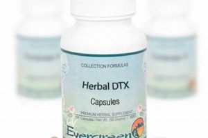 Discover Evergreen Herbal: Nature's Year-Round Remedies Safem Fabrication - Precision Engineering & Custom Manufacturing Solutions Discover Evergreen Herbal: Nature's Year-Round Remedies | Safem Fabrication - Precision Engineering & Custom Manufacturing Solutions