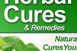 Discover Natural Herbal Cures: Ancient Remedies Today Safem Fabrication - Precision Engineering & Custom Manufacturing Solutions Discover Natural Herbal Cures: Ancient Remedies Today | Safem Fabrication - Precision Engineering & Custom Manufacturing Solutions