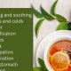 Relief with Best Herbal Teas for Nausea: Soothe Upset Stomach Fast | The Ultimate Herbal Remedies Guide: Natural Healing for a Healthier Life