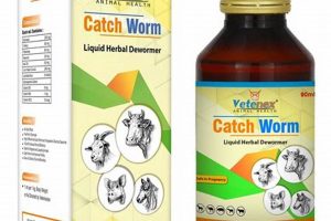 Natural Herbal Dewormer: Safe Parasite Cleanse Safem Fabrication - Precision Engineering & Custom Manufacturing Solutions Natural Herbal Dewormer: Safe Parasite Cleanse | Safem Fabrication - Precision Engineering & Custom Manufacturing Solutions