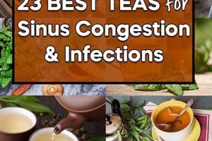 Natural Relief: Herbal Tea for Sinus Infection + Remedies Safem Fabrication - Precision Engineering & Custom Manufacturing Solutions Natural Relief: Herbal Tea for Sinus Infection + Remedies | Safem Fabrication - Precision Engineering & Custom Manufacturing Solutions