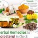 Natural Herbal Treatments for High Cholesterol Relief | The Ultimate Herbal Remedies Guide: Natural Healing for a Healthier Life