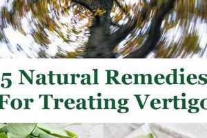 Natural Vertigo Herbal Remedy: Relief & Support Safem Fabrication - Precision Engineering & Custom Manufacturing Solutions Natural Vertigo Herbal Remedy: Relief & Support | Safem Fabrication - Precision Engineering & Custom Manufacturing Solutions