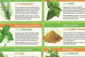 Herbal Supplements: What Are They? Benefits & Risks Safem Fabrication - Precision Engineering & Custom Manufacturing Solutions Herbal Supplements: What Are They? Benefits & Risks | Safem Fabrication - Precision Engineering & Custom Manufacturing Solutions
