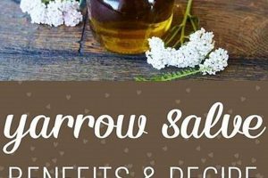 Unlock Herbal Salve Benefits: Your Skin's Natural Aid Safem Fabrication - Precision Engineering & Custom Manufacturing Solutions Unlock Herbal Salve Benefits: Your Skin's Natural Aid | Safem Fabrication - Precision Engineering & Custom Manufacturing Solutions