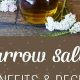Unlock Herbal Salve Benefits: Your Skin's Natural Aid | The Ultimate Herbal Remedies Guide: Natural Healing for a Healthier Life