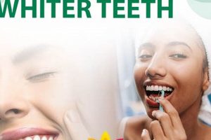 Natural Herbal Teeth Whitening: Safe & Effective? Safem Fabrication - Precision Engineering & Custom Manufacturing Solutions Natural Herbal Teeth Whitening: Safe & Effective? | Safem Fabrication - Precision Engineering & Custom Manufacturing Solutions