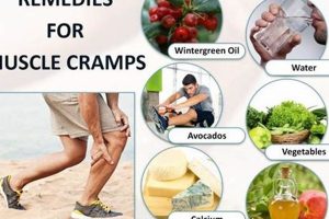 Natural Herbal Treatment for Muscle Spasms: Relief Guide Safem Fabrication - Precision Engineering & Custom Manufacturing Solutions Natural Herbal Treatment for Muscle Spasms: Relief Guide | Safem Fabrication - Precision Engineering & Custom Manufacturing Solutions