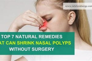Natural Nasal Polyps Herbal Treatment Relief Guide Safem Fabrication - Precision Engineering & Custom Manufacturing Solutions Natural Nasal Polyps Herbal Treatment Relief Guide | Safem Fabrication - Precision Engineering & Custom Manufacturing Solutions