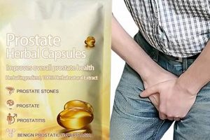 Natural Prostate Herbal Capsules: Support & Health Safem Fabrication - Precision Engineering & Custom Manufacturing Solutions Natural Prostate Herbal Capsules: Support & Health | Safem Fabrication - Precision Engineering & Custom Manufacturing Solutions