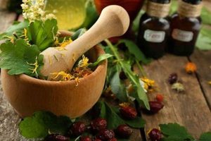 Discover Herbal Properties: Benefits & Uses Guide Safem Fabrication - Precision Engineering & Custom Manufacturing Solutions Discover Herbal Properties: Benefits & Uses Guide | Safem Fabrication - Precision Engineering & Custom Manufacturing Solutions