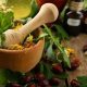 Discover Herbal Properties: Benefits & Uses Guide | The Ultimate Herbal Remedies Guide: Natural Healing for a Healthier Life